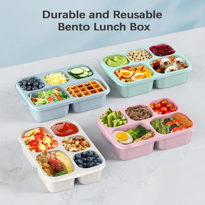 Bento Lunch Boxes, 4 Pack Bento Box, Reusable Lunch Box with 5 Compartments Meal Prep Containers, Snack Containers with Utensils & Transparent Lids, Microwave Dishwasher Safe